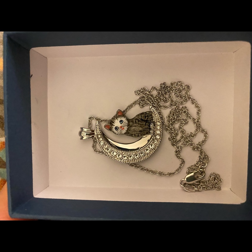 Bradford Exchange Cat and Crystal Moon Pendant and Wallet